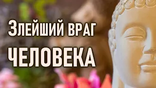 Ум - это злейший враг человека.