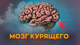 Что происходит с мозгом курящего? [БРОСАЕМ КУРИТЬ]