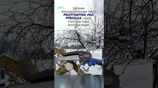 PROSTORMER PRO PSBS2102 cordless chain saw after one and a half years of operation