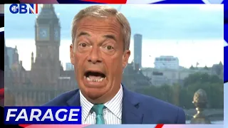 Nigel Farage says Nancy Pelosi was 'reckless' to visit Taiwan