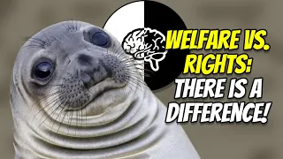 What's the Difference Between Animal Welfare and Animal Rights? It's important to know!