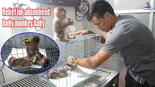 Relief of an abandoned baby monkey left at the medical center • Monkey KiKi