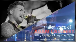 Adam Lambert - rocking the stage with legendary Qu👑👑n (fan made)