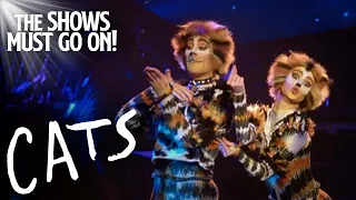 Mungojerrie and Rumpleteazer from CATS | Cats The Musical | The Shows Must Go On!