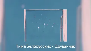 Тима Белорусских - Одуванчик [slowed + reverb]