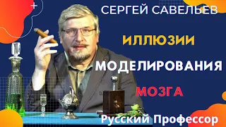 Сергей Савельев. Иллюзии моделирования мозга