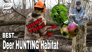 The Best Deer Hunting Habitat