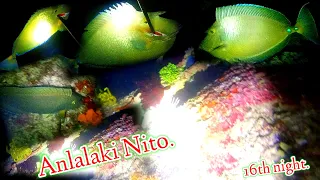 GRABE!!!ANG LALAKING SURAHAN NITO.16NIGHT SPEARFISHING #BORACAY ISLAND|| Gabby Ramal