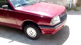 MI RENAULT 18