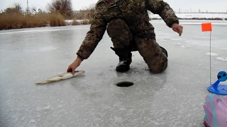 Ловля на жерлицы!!!  Открытие сезона 2018 2019 первый лёд!)