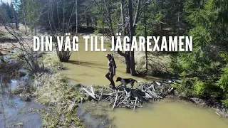 Din väg till Jägarexamen