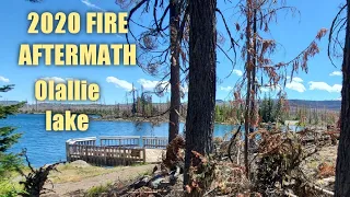 Aftermath of the 2020 fire at Olallie lake