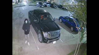 Surveillance Video of Suspect in Fatal Shooting at 10965 South Gessner Road