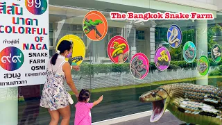 The  Snake Farm in Bangkok run by the Thai Red Cross . Places to visit in Bangkok