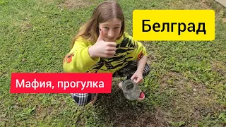 Ксю не попала на мафию 🤪 много полицейских в Белграде 2024