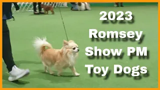 2023 Romsey Show PM - Toy Dogs