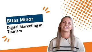 Minor: Digital Marketing in Tourism | Breda University of Applied Sciences