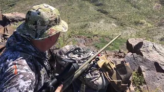 Texas Aoudad Success In the Sierra Viejas Mountains