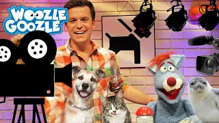 Wie werden Tiere für Film und Fernsehen trainiert? l WOOZLE GOOZLE