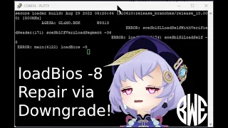 BwE PS4 LoadBios -8 (BLOD) Repair & Downgrade (CoreOS Swap) Tutorial/Walk-through