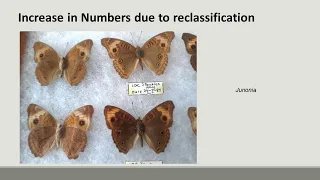 Natural History and Collection of Butterflies in T&T