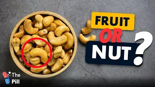 Is a Cashew a Fruit or a Nut?