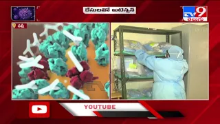 4 New cases of mutant covid strain detected in India, total reaches 29 - TV9
