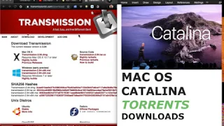 How to Download Torrent files on Macbook. MacOS Catalina Torrents