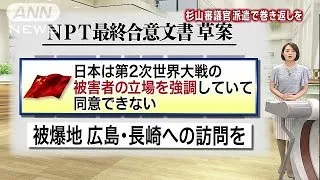 「被爆地訪問」文言復活訴え　NPT再検討会議で日本(15/05/19)