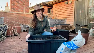 How I Reuse Soil In My Container Garden! 4+ Years Using This Strategy