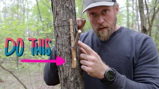 Make Camp Life Easier with This Bushcraft Master Hack!