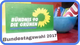 Die Grünen erklärt | Bundestagswahl 2017