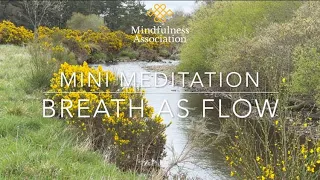 Mini Meditation -  Flow with Breath