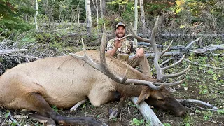 Big Nevada Bull DOWN!