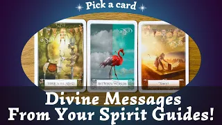 Divine Messages From Your Spirit Guides?! ✨🕯️💙⎜ Pick a card⎜Timeless Reading