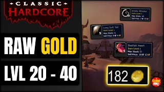 Low Level Raw Gold Farm in Hardcore Classic WoW