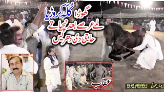 Kullah Karoria vs Aouqab l Horse Dance 30 September 2023 l Mehmood Pura Chak No 1 Nankana