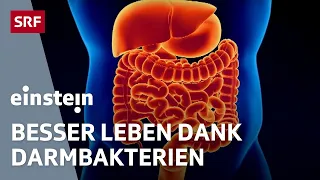 Mikrobiom – wie die Bakterien im Darm über unsere Gesundheit entscheiden | Einstein | SRF