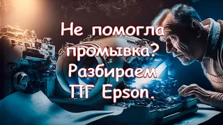 Не помогла промывка? Разбираем ПГ Epson.