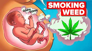 Why Smoking Weed is Actually Bad/Good For You (Compilation)