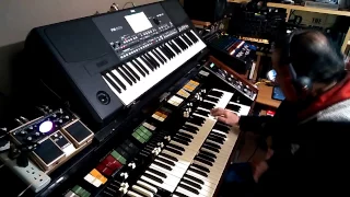 Despierta, Hammond X66, KORG PA600 ,Omar G  Flores Castañeda