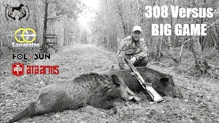 SHOOTING OF 5 WILD BOARS AND 3 DEER - DexterProd@