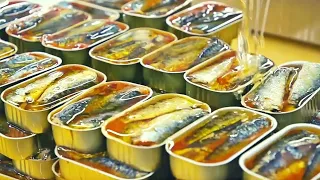 COMO se HACEN las SARDINAS en lata 🥫| Como se PESCAN y ENLATAN miles de millones de SARDINAS