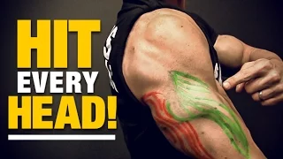 Exercises for Triceps for Every Head (HIT EM ALL!)