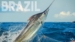 Chasing Monster Blue Marlin in Brazil with Team Bad Company - SECOND TRIP