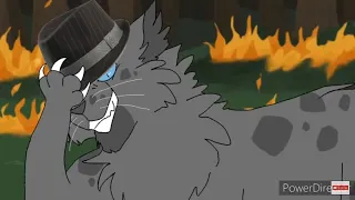 Warrior Cats Memes (Compilation #8)