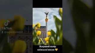 Яскравий колір київської весни 💛