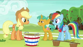 My little Pony Friendship is Magic   Season 6 Episode 18   Buckball Season1