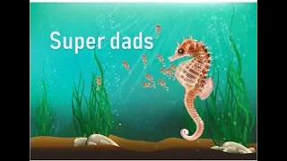 Seahorses are the super dads | Prof TRACEY ROGERS