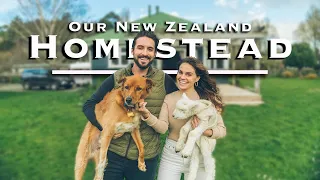 Moving into our Homestead on 2 1/2 acres | Our Crazy First Week